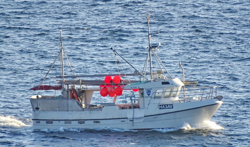 STOR LEPPEBÅT: 'Zander' er med lengde på 12,21 meter blant de større leppefiskbåtene. De fleste er åtte meter og nedover i lengde. STOR LEPPEBÅT: 'Zander' er med lengde på 12,21 meter blant de større leppefiskbåtene. De fleste er åtte meter og nedover i lengde.