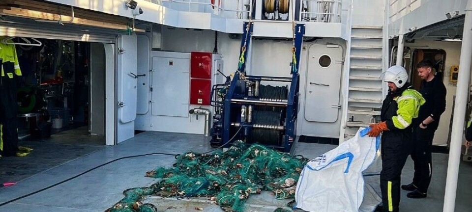 Garnlenke spøkelsesfisket 200 kg krabbe - ingen reaksjon mot eieren