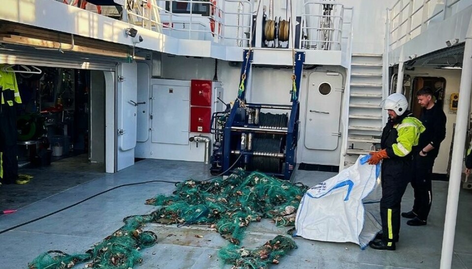 GARNLENKE: Mannskapet på MS «Fjordgyn» dro opp flere hundre meter med garn, som inneholdt mengder med krabbe.