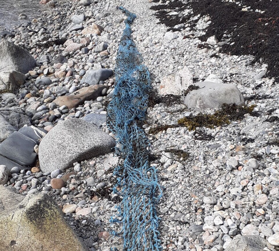 NOT: Not fra fiskeri eller oppdrett funnet i fjæra utenfor Harstad. NOT: Not fra fiskeri eller oppdrett funnet i fjæra utenfor Harstad.