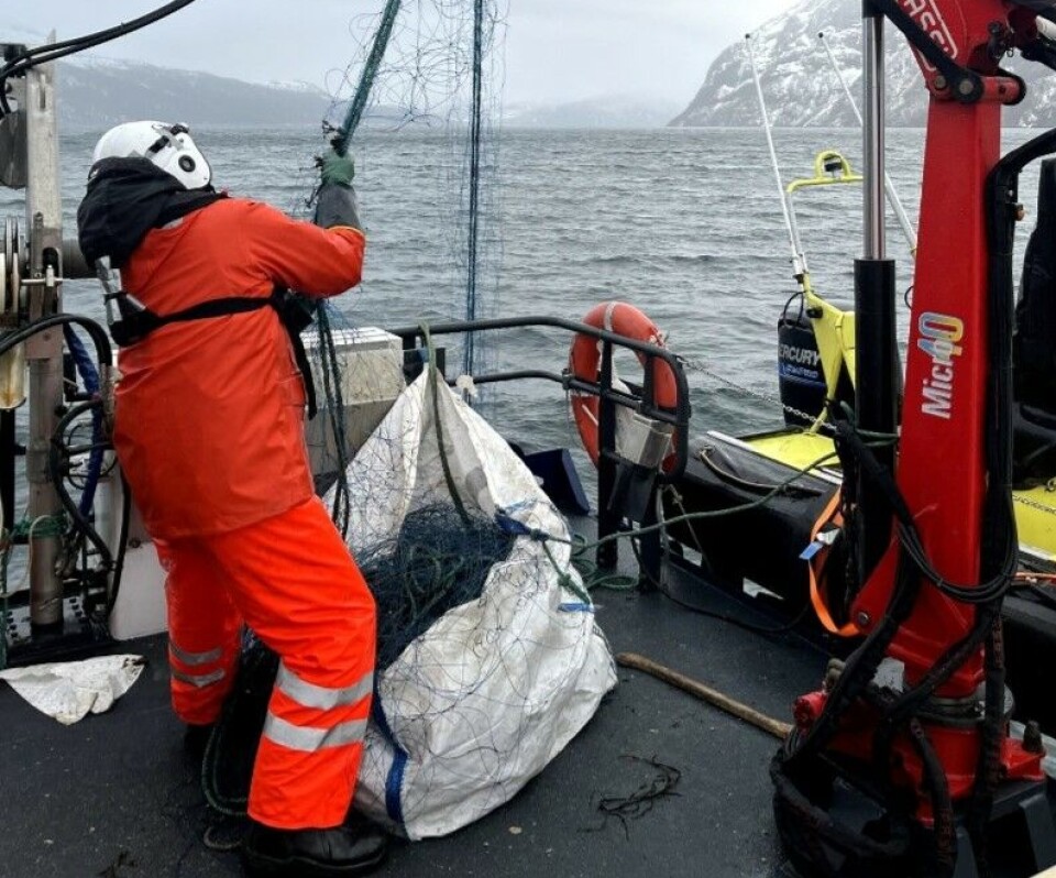 TO ÅR: Garnlenken hadde stått i havet i to år. TO ÅR: Garnlenken hadde stått i havet i to år.