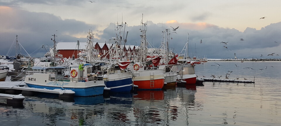 Vest-Finnmark og Lofoten på torsketoppen