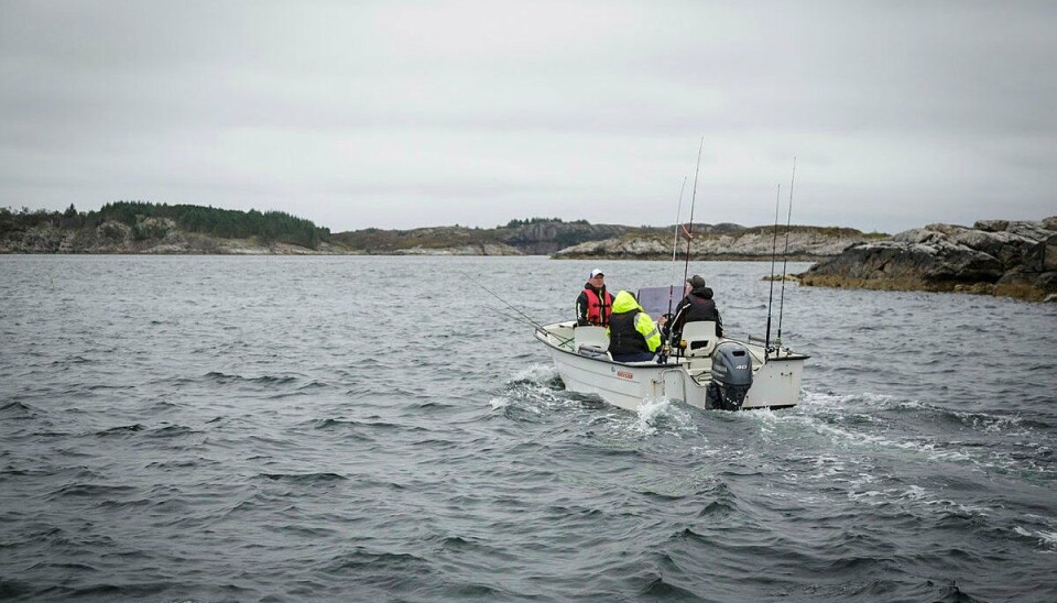 FRITIDSFISKE: Ifølge forskernes beregninger fanger fastboende og turister omtrent like mye torsk på stang, snøre og juksa fra båt. FRITIDSFISKE: Ifølge forskernes beregninger fanger fastboende og turister omtrent like mye torsk på stang, snøre og juksa fra båt.