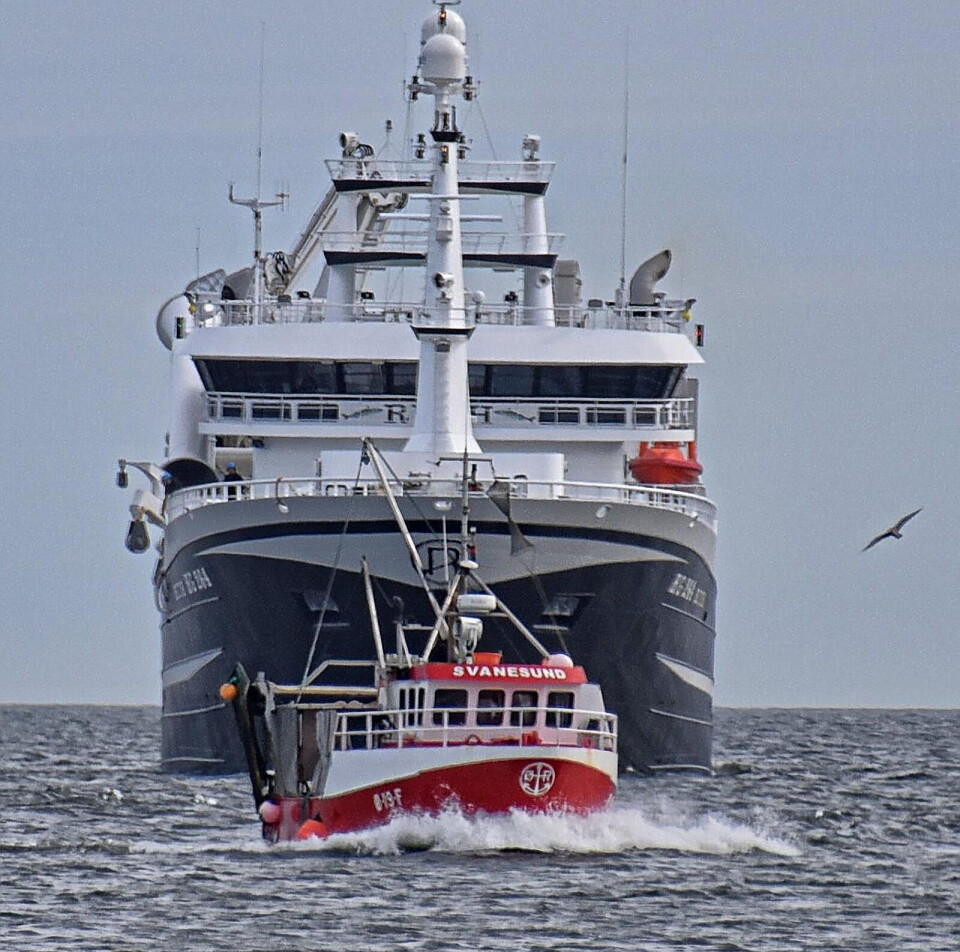 'Svanesund' fisker langt bedre enn mange atskillig større fartøy, om nødvendigvis ikke i forhold til danske 'Ruth' som her er i bakgrunnen. 'Svanesund' fisker langt bedre enn mange atskillig større fartøy, om nødvendigvis ikke i forhold til danske 'Ruth' som her er i bakgrunnen.