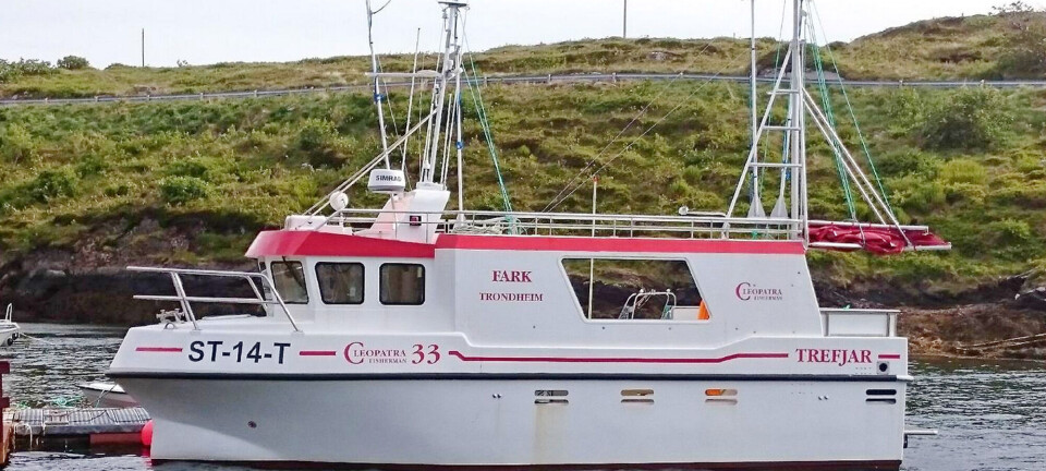 Kjempestart på teinefiske