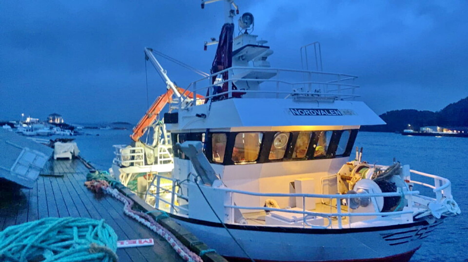 INVESTERING: «Nordvalen» er rigget for fiske med snurrevad og not.