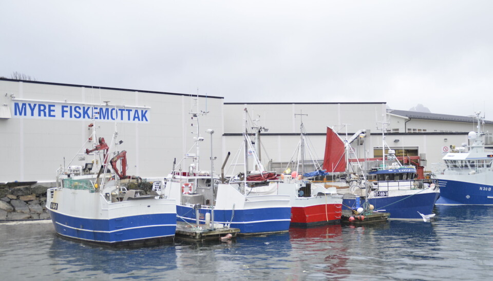 VESTERÅLEN: Vinterfisket etter skrei har nå flyttet seg til Vesterålen og Lofoten.