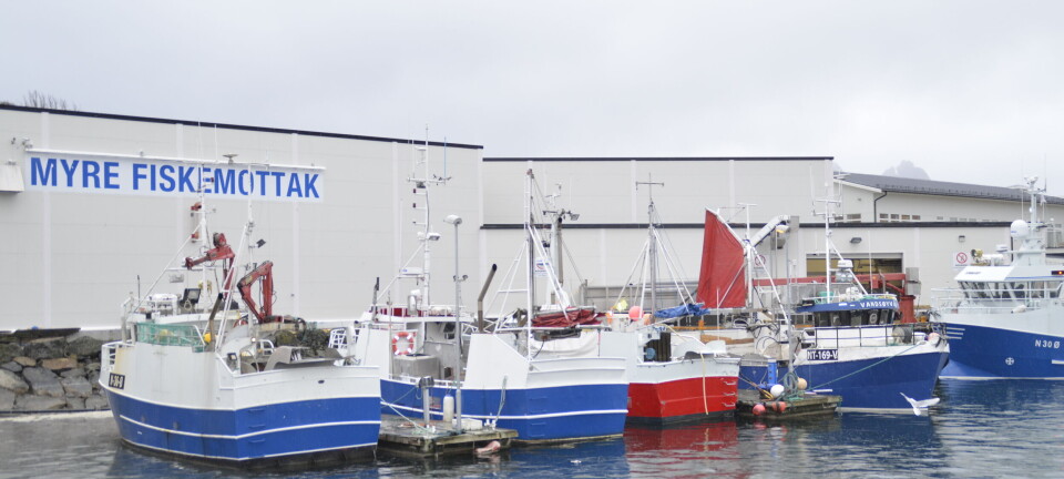 Skreifisket er definitivt i gang, gode priser for fiskerne