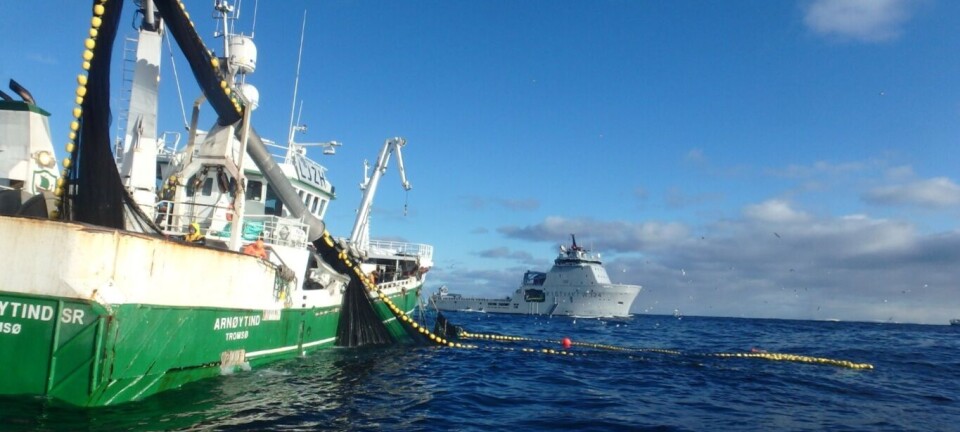 Ferdig med lodda - nå rigger de om til snurrevad og setter kursen mot Lofoten