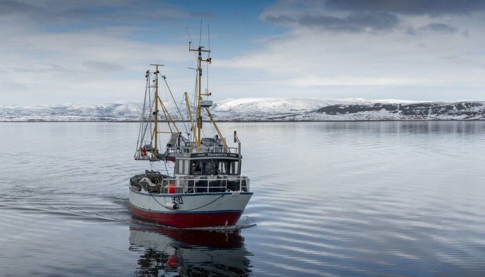 PRØVEFISKE: I 2018–2019 brukte HI teiner for å kartlegge rekeførekomsten i blant anna Porsangerfjorden med «Henriette». (Foto: Gunnar Sætra / HI) PRØVEFISKE: I 2018–2019 brukte HI teiner for å kartlegge rekeførekomsten i blant anna Porsangerfjorden med «Henriette». (Foto: Gunnar Sætra / HI)