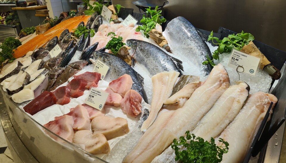 ISLAND: Fersk torsk til 34 pund per kilo med opprinnelse fra Island i disken hos Selfridges.