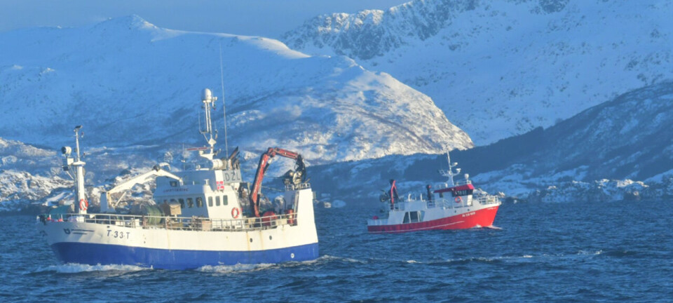 Trangt om (fiske)beinet utafor Senja - Fiskeridirektoratet oppfordrer til dialog