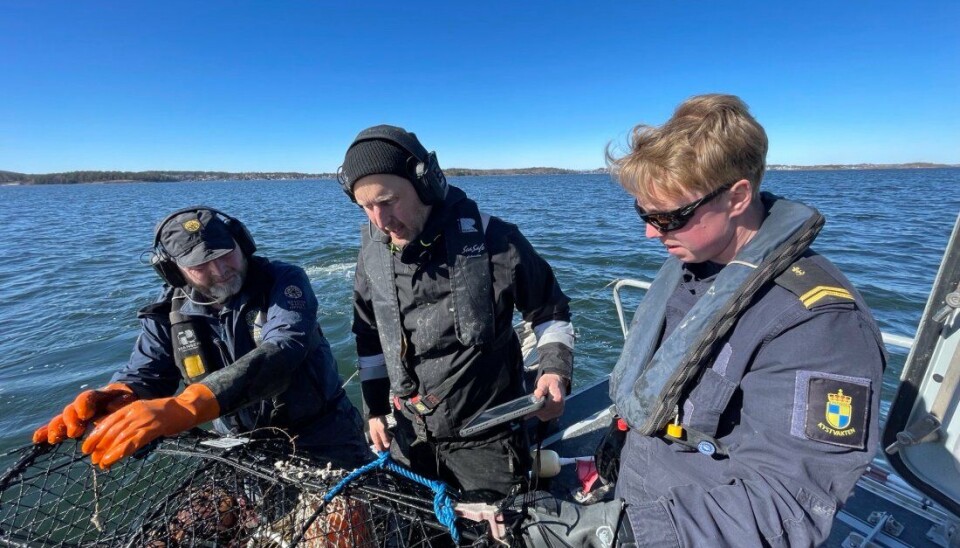 PÅ JOBB: Felleskontroll ved Skagerrakkysten og i Oslofjorden med Fiskeridirektoratet, Statens naturoppsyn (SNO) og Kystvakten. PÅ JOBB: Felleskontroll ved Skagerrakkysten og i Oslofjorden med Fiskeridirektoratet, Statens naturoppsyn (SNO) og Kystvakten.