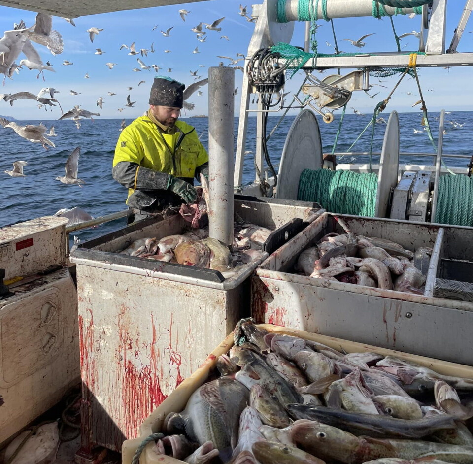 Selv om Halvard sløyde på harde livet, måtte det tilkalles 'sløyhjelp' før fangsten kunne leveres. Selv om Halvard sløyde på harde livet, måtte det tilkalles 'sløyhjelp' før fangsten kunne leveres.