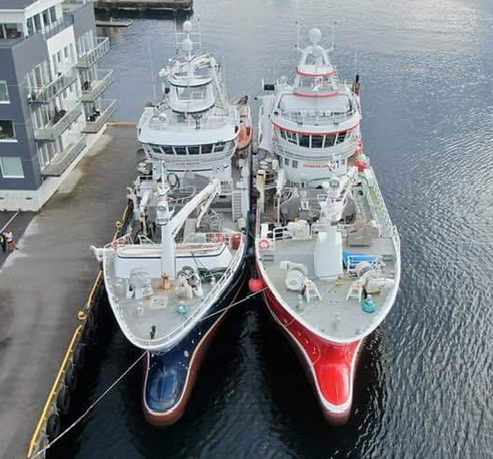 TO STORE BÅTER: Fra før av har Oddvar Nes fartøyene «Trondskjær» (rød) og «Lise Beate» (blå). TO STORE BÅTER: Fra før av har Oddvar Nes fartøyene «Trondskjær» (rød) og «Lise Beate» (blå).