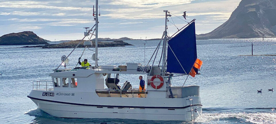 Nå vil fiskebåtreder fiske taskekrabbe