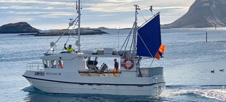 Nå vil fiskebåtreder fiske taskekrabbe