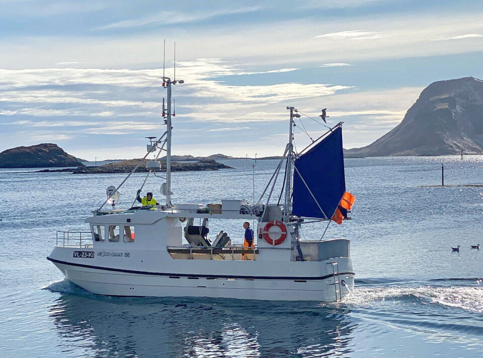 TASKEKRABBE: Med denne sjarken skal Senjarederen Oddvar Nes satse på taskekrabbe. TASKEKRABBE: Med denne sjarken skal Senjarederen Oddvar Nes satse på taskekrabbe.