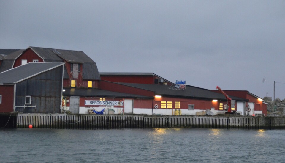 LAUKVIK: Fiskemottaket i Laukvik åpnet igjen etter nesten to års stillstans. LAUKVIK: Fiskemottaket i Laukvik åpnet igjen etter nesten to års stillstans.