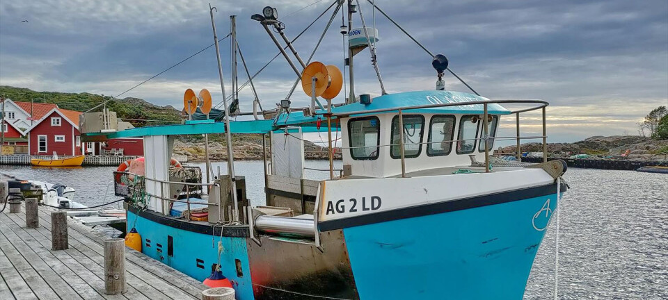 Suksess med teinefiske