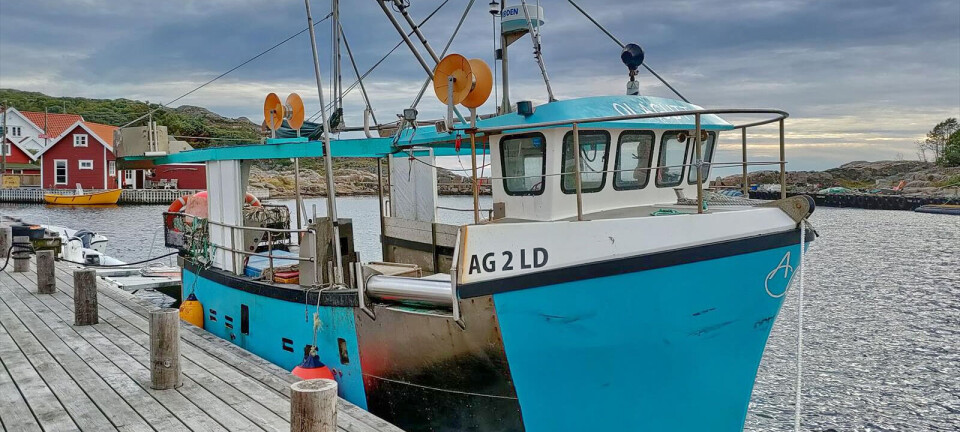 Suksess med teinefiske