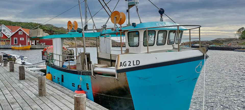 Suksess med teinefiske