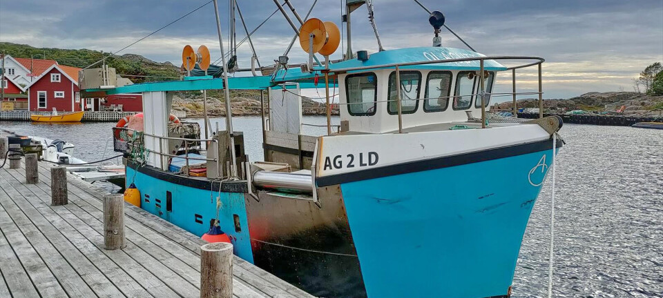 Suksess med teinefiske