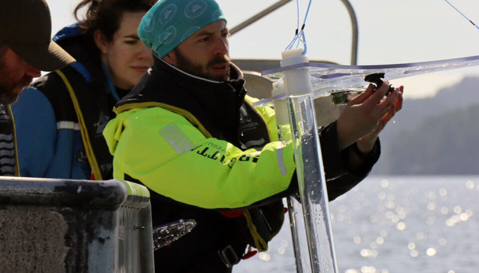 FORSKER: Alessandro Cresci fra Havforskningsinstituttet under forsøkene. FORSKER: Alessandro Cresci fra Havforskningsinstituttet under forsøkene.