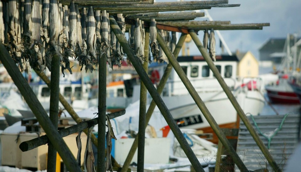 STREIK: Mange ulike bransjer i Norge rammes fra mandag morgen, når nesten 23 000 arbeidstakere tas ut i streik. Alt fredag vil ytterligere 15 000 bli tatt ut til streik, varsler LO. Råfisklaget ber fiskerne forberede seg på reduserte tjenester i forbindelse med at også de rammes av streiken. Bilde for illustrasjon.