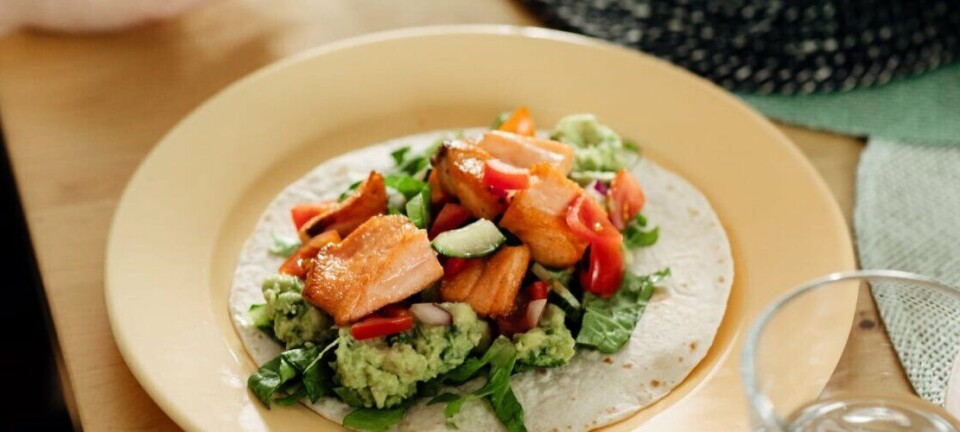 Fortsatt svak krone - fortsatt eksportrekord for norsk sjømat