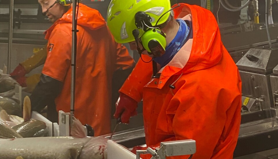 PRAKSIS: I praksis på fiskebåt fikk han prøve seg i fabrikk og på dekk.