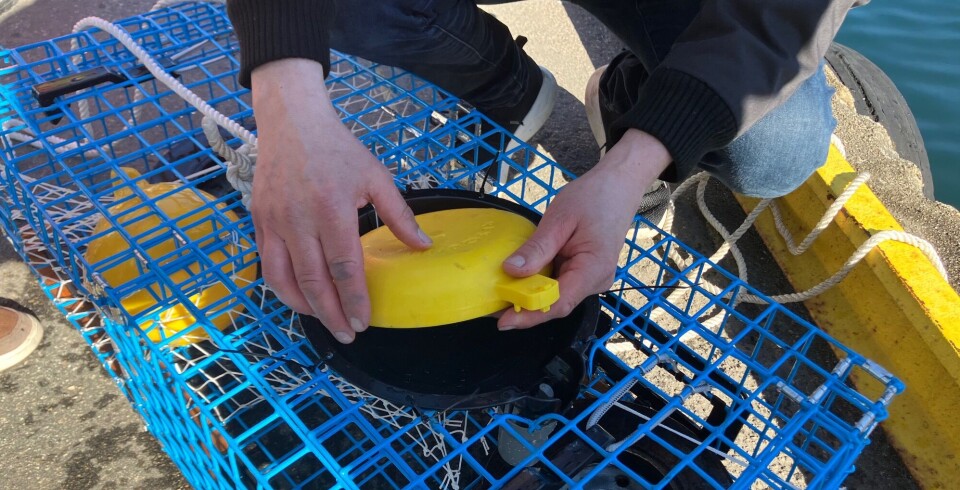 TIDSINNSTILT: Slik ser bøya ut. Den kan festes på alle teiner, fikk vi høre. Så stiller man inn elektronisk hvor lenge det skal gå før den utløses.