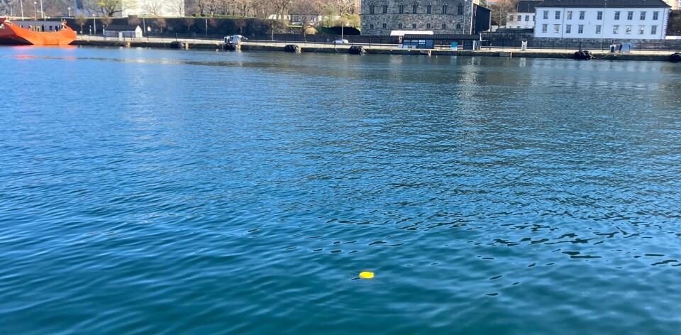 FLYTER OPP: Slik ser det ut når bøya har løst seg ut og kommer til overflaten.