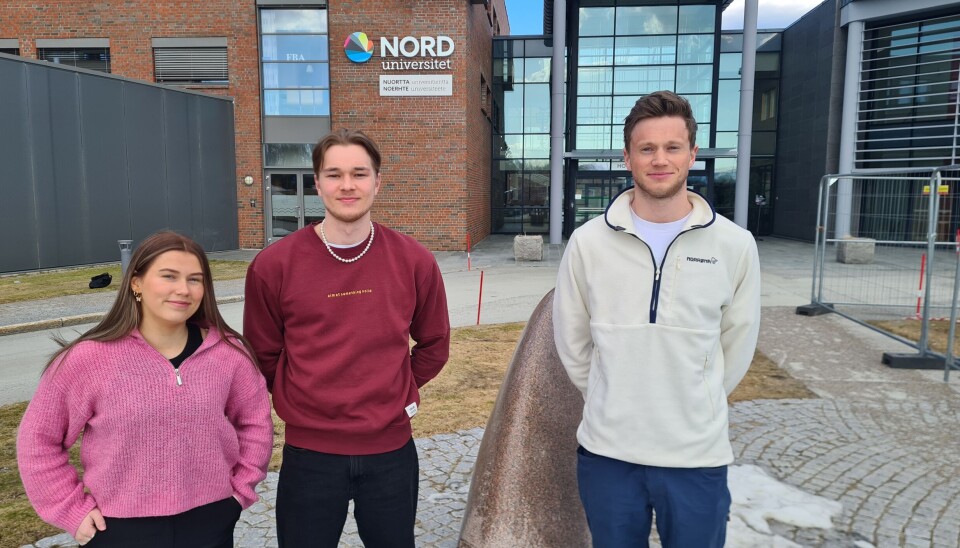 HAVETS DØGN: Nytt styre i Havets døgn, nå er de i full gang med å planlegge høstens studentevent. Fv Katrine Lindmark (leder), Aleksander Sundstrøm (markedsansvarlig) og Brynjar Kvernstad (nestleder). HAVETS DØGN: Nytt styre i Havets døgn, nå er de i full gang med å planlegge høstens studentevent. Fv Katrine Lindmark (leder), Aleksander Sundstrøm (markedsansvarlig) og Brynjar Kvernstad (nestleder).