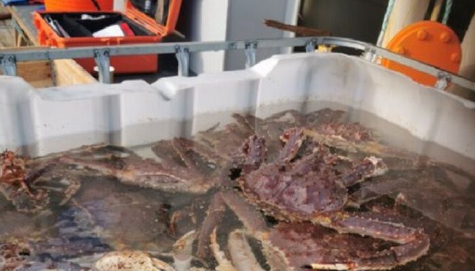 KYSTVAKTEN: KV Bison beslagla 21 teiner, der det stod 700 kg kongekrabbe.