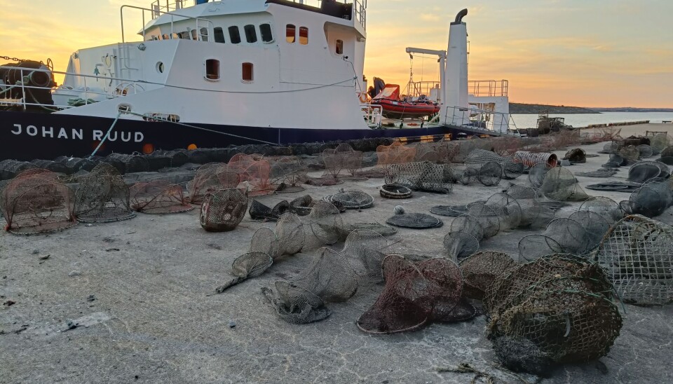 SPØKELSESFISKE: Tapte teiner uten råtnetråd kan fiske videre i opptil ti år. Her fra rydding i Indre Oslofjord, sammen med Green-Bay.