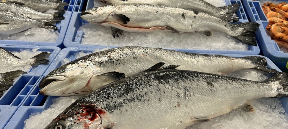 KRONIKK: – Når forskerne anbefaler oss å spise mer fisk, er det musikk i mine ører