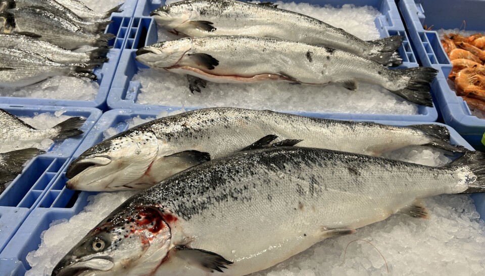 HISTORISK: – Vi som en av verdens ledende fiskerinasjoner har en stolt og historisk lang tradisjon med å levere fisk av utsøkt kvalitet, som etterspørres nettopp fordi sjømaten kommer fra Norge, skriver kronikkforfatteren. HISTORISK: – Vi som en av verdens ledende fiskerinasjoner har en stolt og historisk lang tradisjon med å levere fisk av utsøkt kvalitet, som etterspørres nettopp fordi sjømaten kommer fra Norge, skriver kronikkforfatteren.