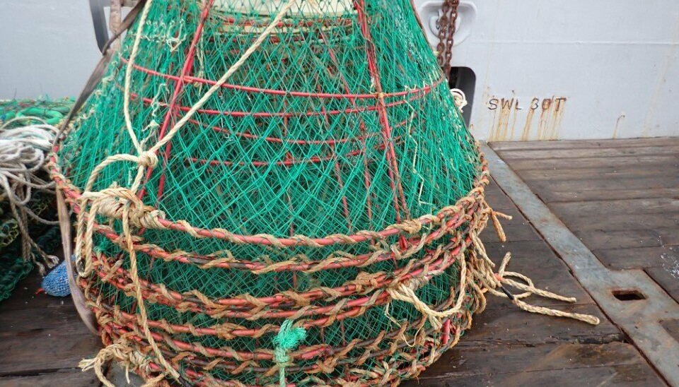 TATT: Noen av teinene som ble beslaglagt av Kystvakten.