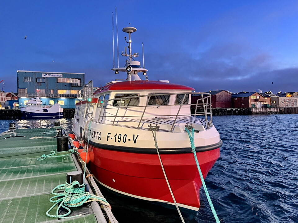 STOR SJARK: Med lengde på 12,99 er 'Loppajenta' en solid sjark. STOR SJARK: Med lengde på 12,99 er 'Loppajenta' en solid sjark.
