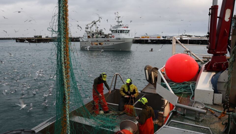 ILLUSTRASJONSFOTO fra Andenes havn. ILLUSTRASJONSFOTO fra Andenes havn.