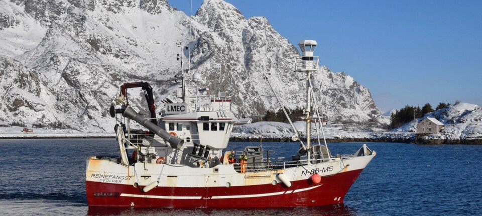 Tolket kvotereglene feil – kostet flere titusen