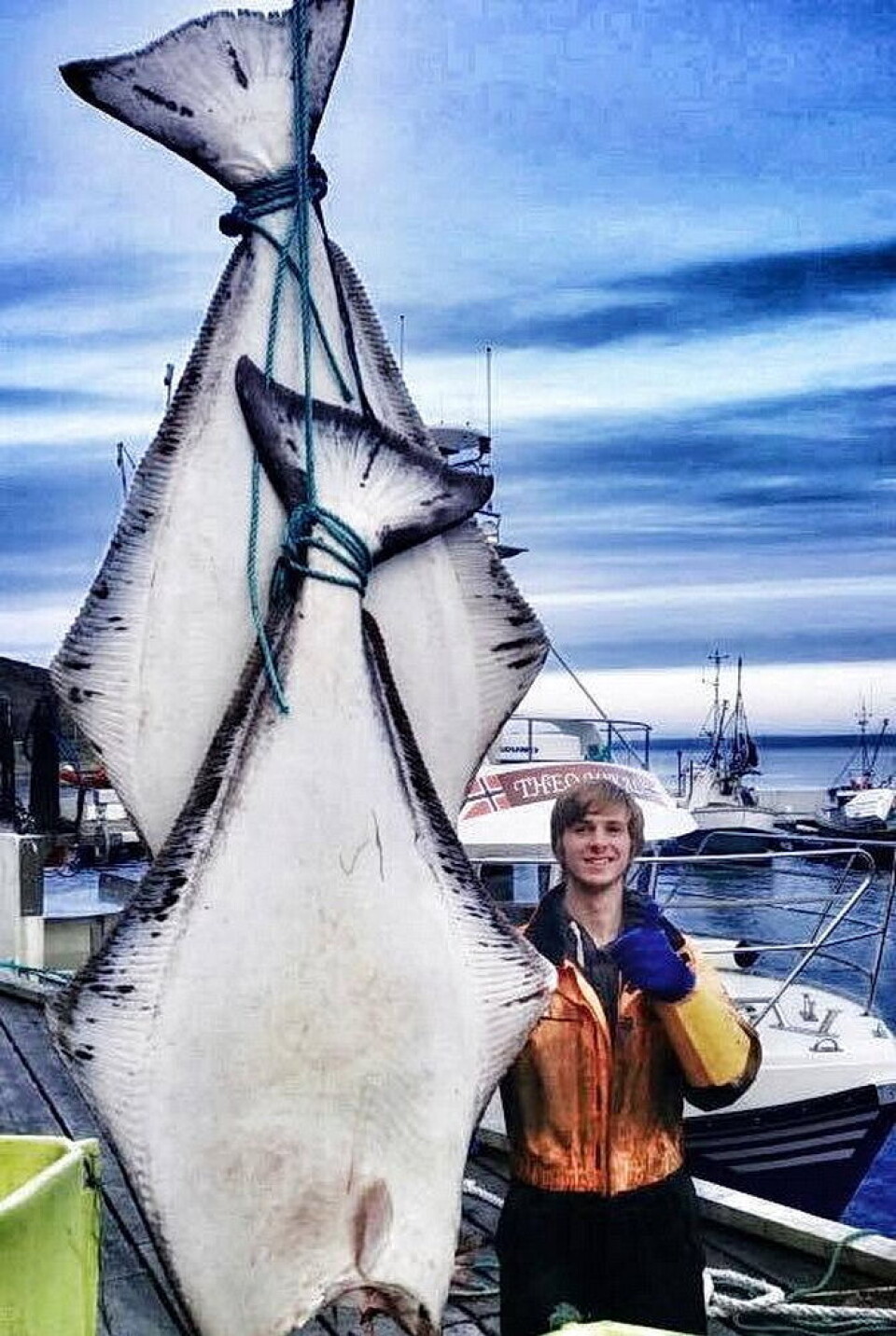 Et par kveiter på denne størrelsen er verdt godt med penger.