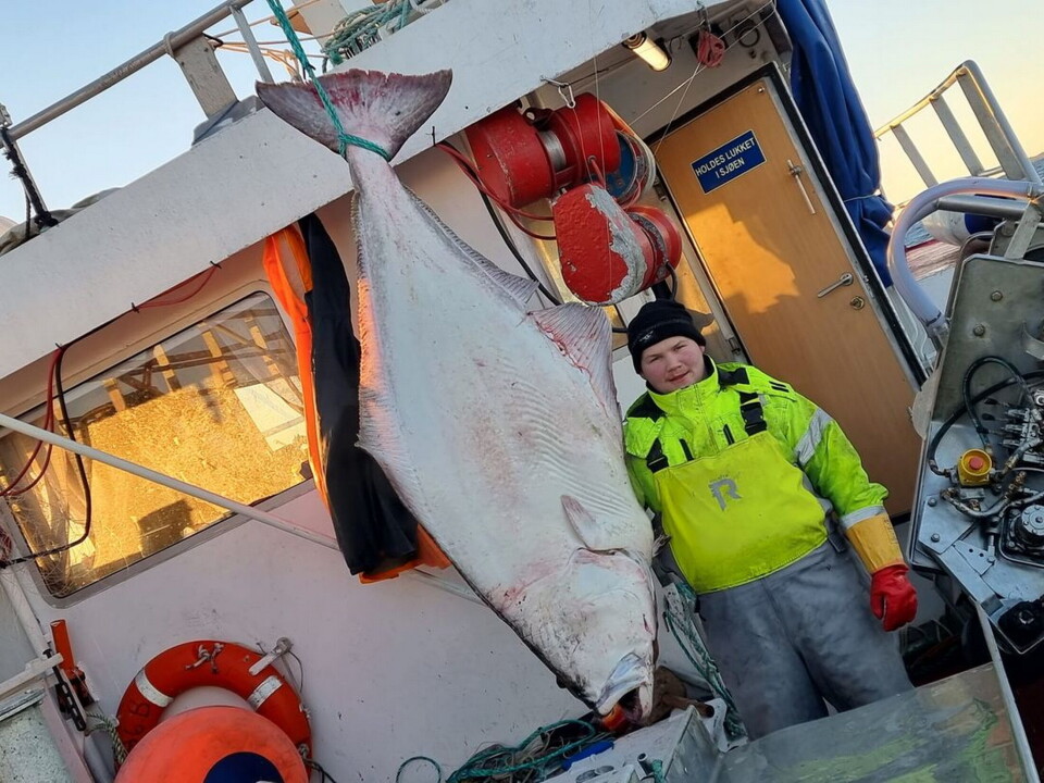 Det er moro å kunne vise frem kveite på denne størrelsen.