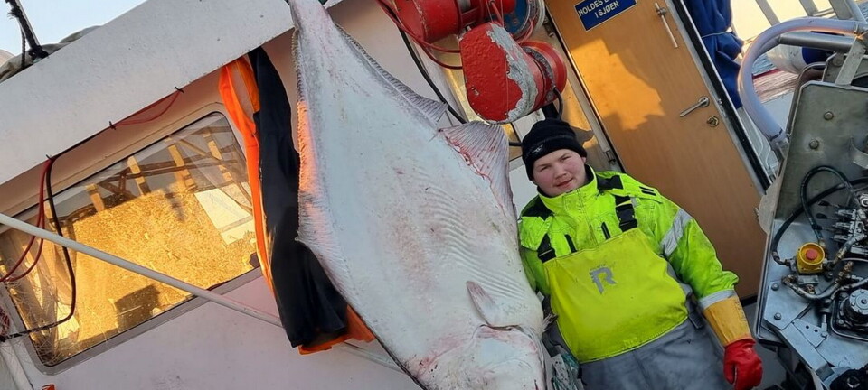 Noen fiskeredskaper dominerer kveitefisket