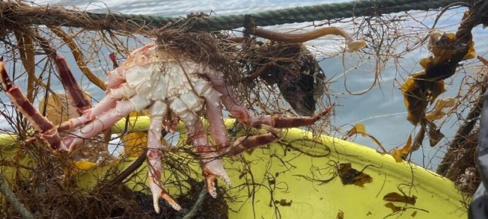 Fiskerikontroll og opprydding av garn.