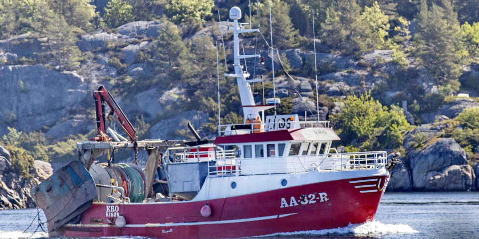 KVEITESUKSESS: 'Marie Emilie' har alene fisket ti prosent av total norsk kveitefangst. Dette er et eldre av bilde av ex.'Ero' som nå er 'Marie Emilie'. KVEITESUKSESS: 'Marie Emilie' har alene fisket ti prosent av total norsk kveitefangst. Dette er et eldre av bilde av ex.'Ero' som nå er 'Marie Emilie'.