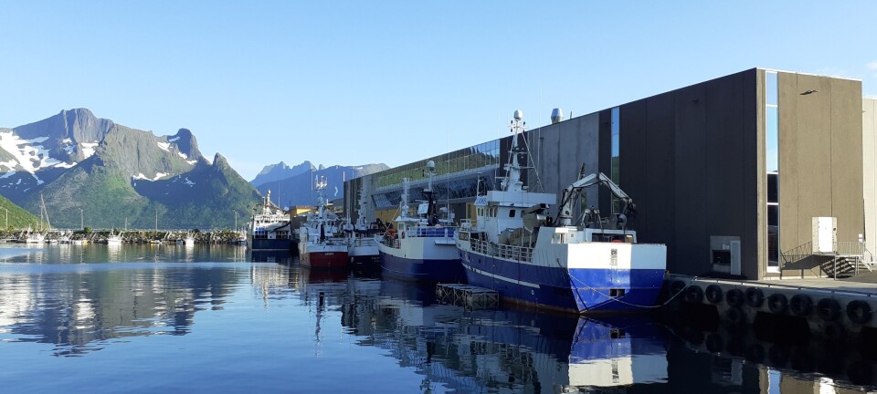 Husøy havn skal hasteutredes
