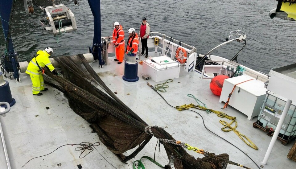 VESTLAND: Not ble fjernet etter tips fra Bergen Dykkerklubb.