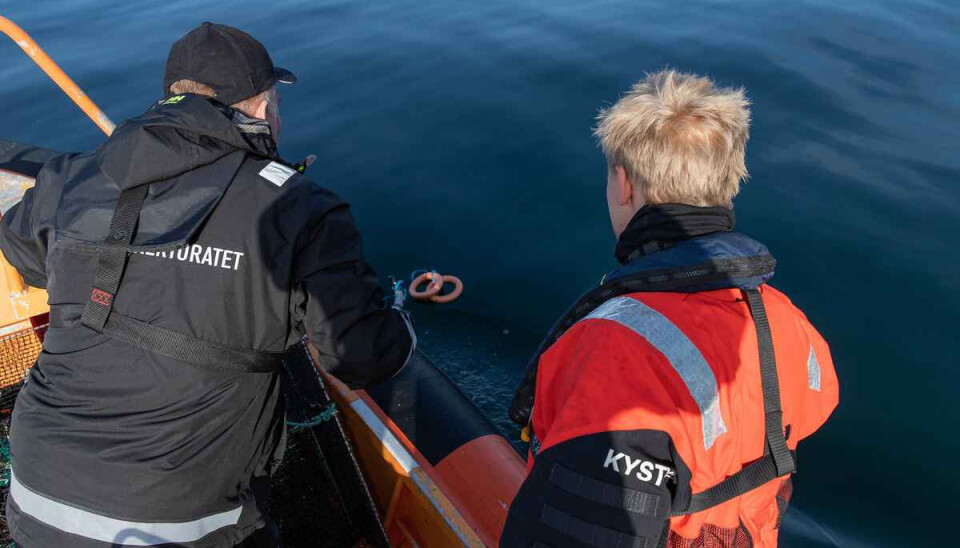 SLO TIL: – Det er innlevert 40 anmeldelser etter aksjonen. 31 av dem med kjent eier av bruket, ni med ukjent eier, opplyser Fiskeridirektoratet etter storaksjonen. SLO TIL: – Det er innlevert 40 anmeldelser etter aksjonen. 31 av dem med kjent eier av bruket, ni med ukjent eier, opplyser Fiskeridirektoratet etter storaksjonen.